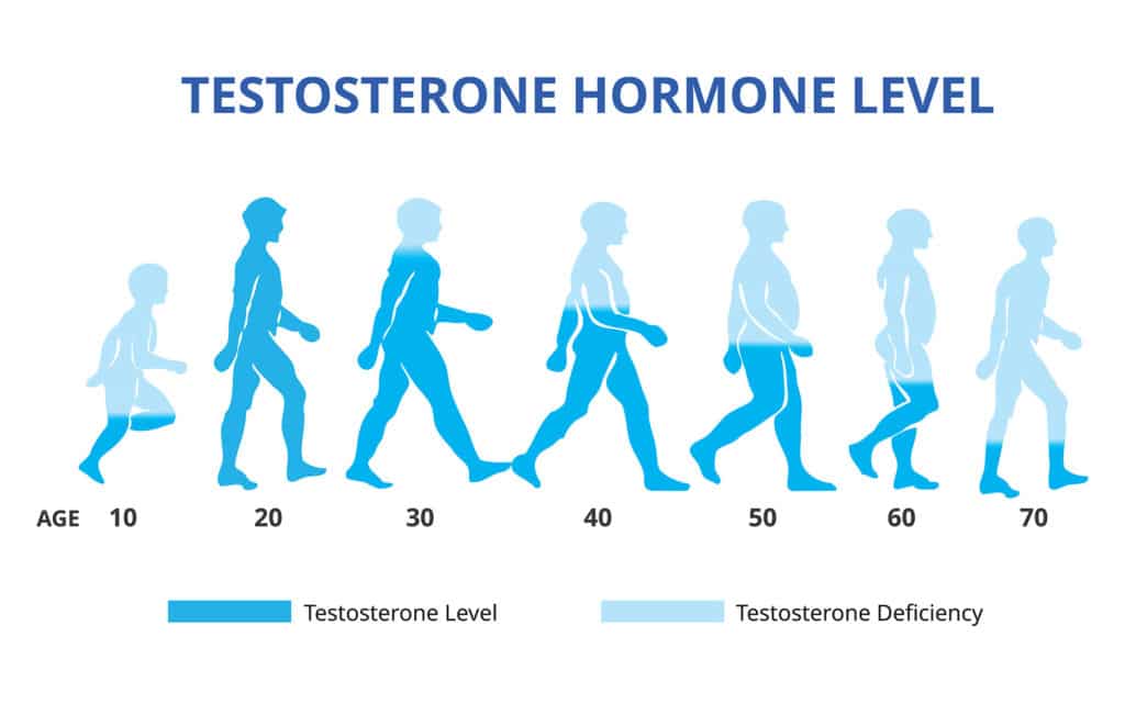 Testosterone-Hormone-Levels-male-menopause